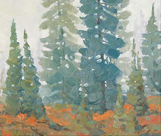 #508 ~ Plant - Untitled - Forest Glade