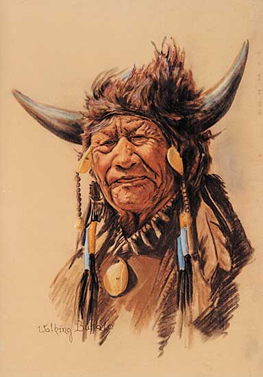 #560 ~ Zach - Walking Buffalo