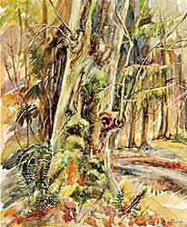 #76 ~ Shadbolt - Emma Lake, Trees, August 1955