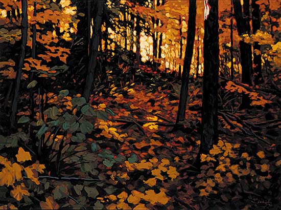 #16 ~ Bracegirdle - A Light in the Forest