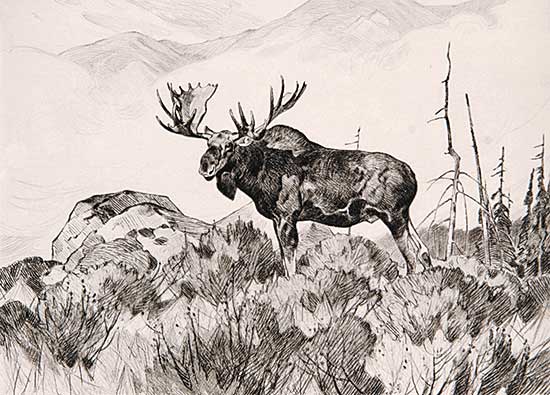 #226 ~ Rungius - The Wanderer