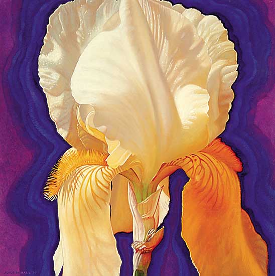 #309 ~ Hall - Iris I