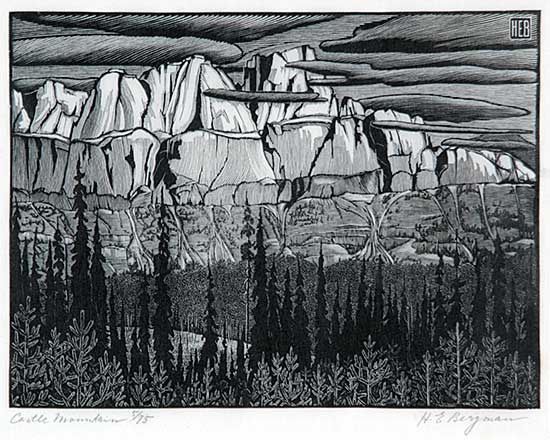 #407 ~ Bergman - Castle Mountain  #5/75