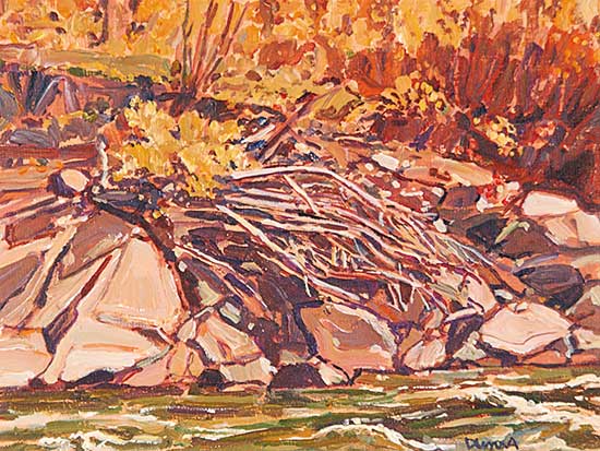 #430 ~ Duma - Fall Stream