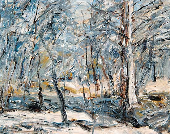 #519 ~ Steinhoff - Snow Study