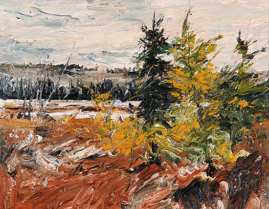 #520 ~ Steinhoff - Ragged Lake, Algonquin Parrk
