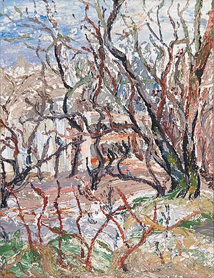 #614 ~ Barnard - Back Garden