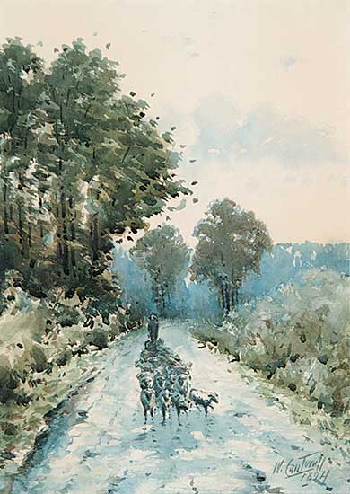 #643 ~ Cantwell - Evening Glow