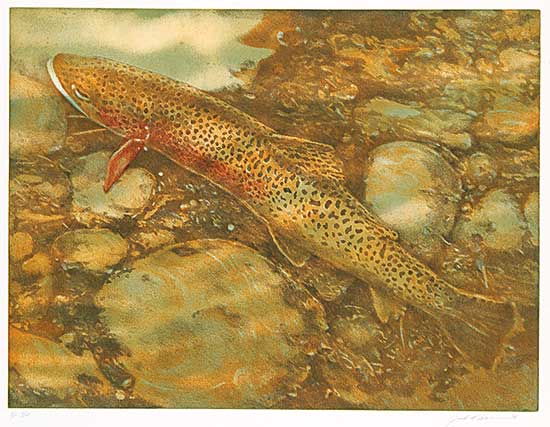 #649 ~ Cowin - Riverhouse  #AP 2/10