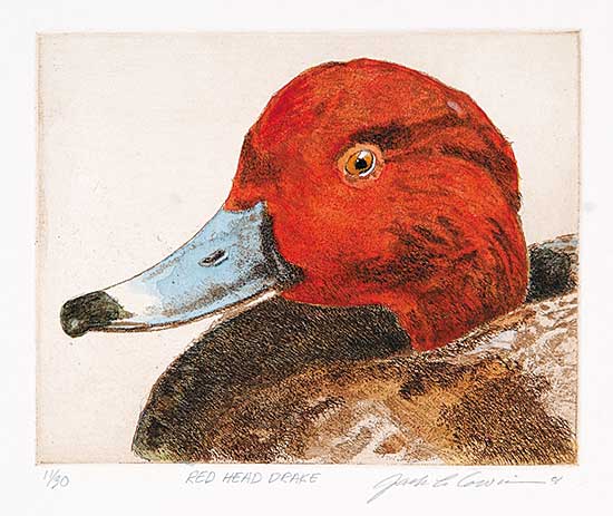 #650 ~ Cowin - Red Head Drake  #11/30