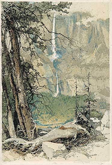 #713 ~ Kasimir - Yosemite Falls  #35/150