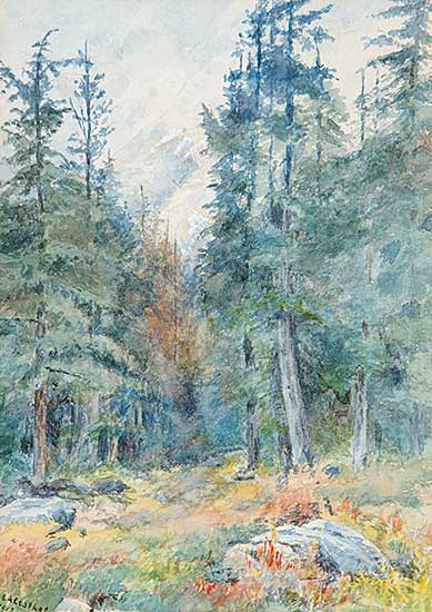 #723 ~ Leather - Untitled - Glacier, BC