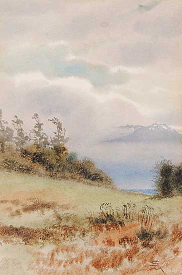 #736 ~ Maclure - Olympics from Beacon Hill