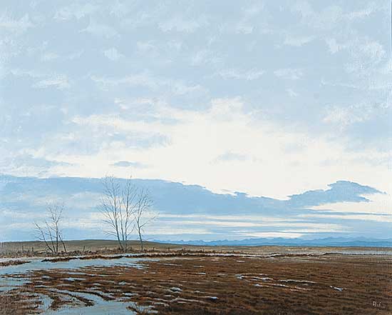 #772 ~ Raftery - Almost Gone