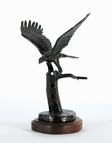 #789 ~ Schock - Untitled - Eagle  #3/25