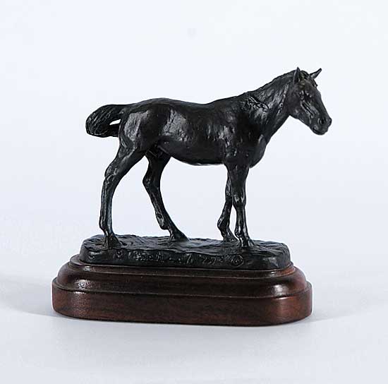 #790 ~ Schock - Untitled - Horse  #7/18