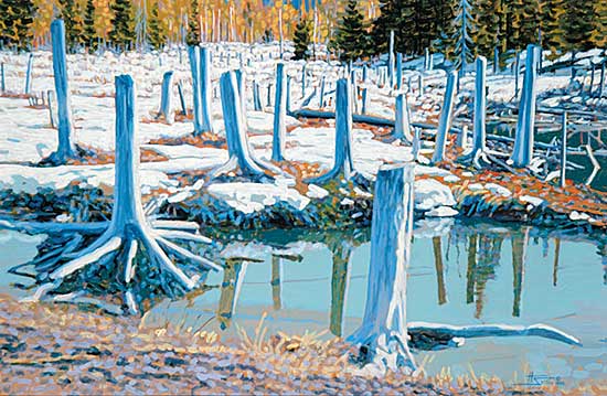 #813 ~ Sellin - Stumps, Beaver Flats