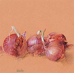 #642 ~ Cano - Onions