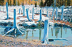#813 ~ Sellin - Stumps, Beaver Flats