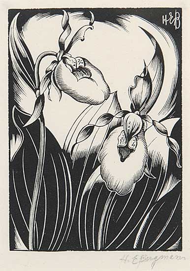 #5 ~ Bergman - Lady Slippers