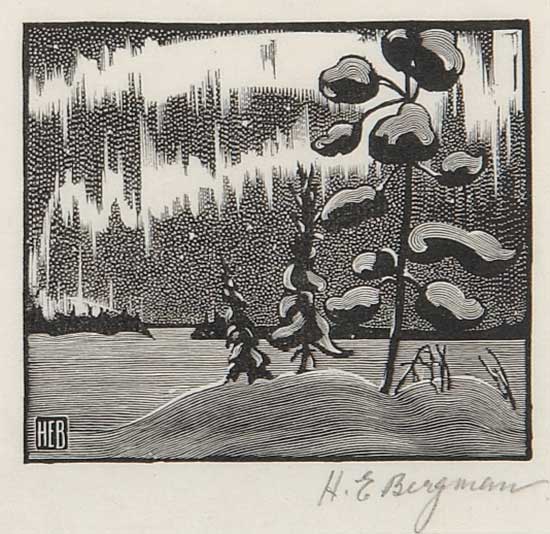 #6 ~ Bergman - Northern Lights