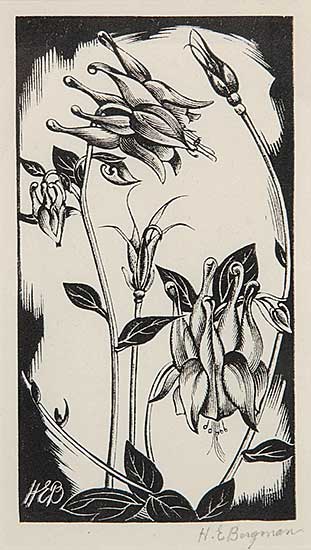 #7 ~ Bergman - Wild Columbine