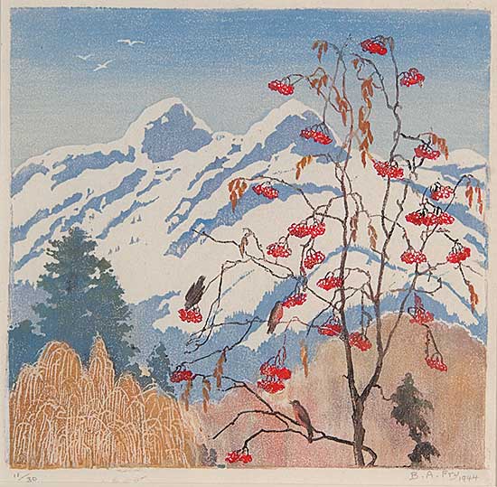 #55 ~ Fry - Winter Festival, Coast Range  #11/30
