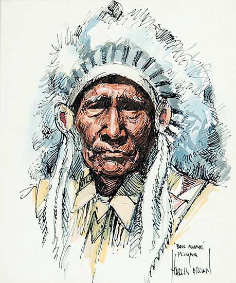 #8 ~ Brown - Bull Plume, Peigan