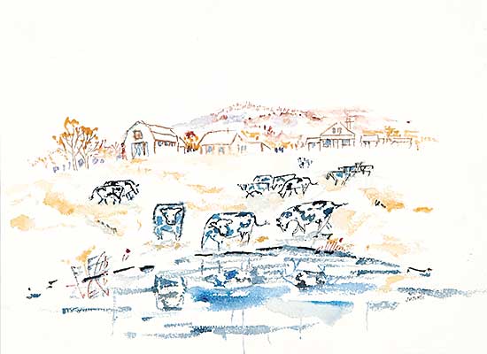 #78 ~ Mitchell - The Watering Hole