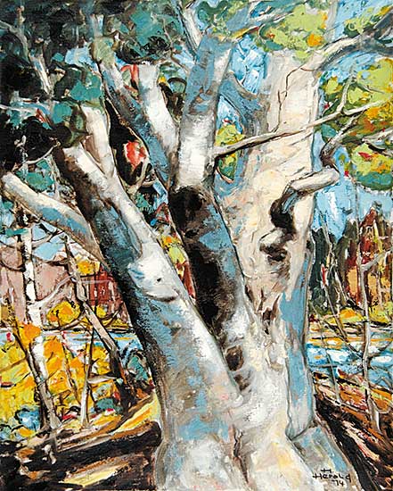 #431 ~ Herold - Tree From Emma Lake