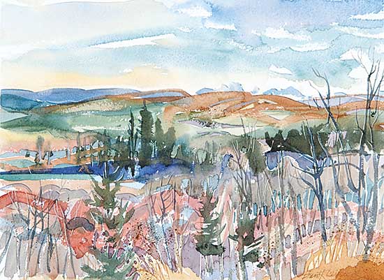 #435 ~ Laycock - Weaselhead Thicket