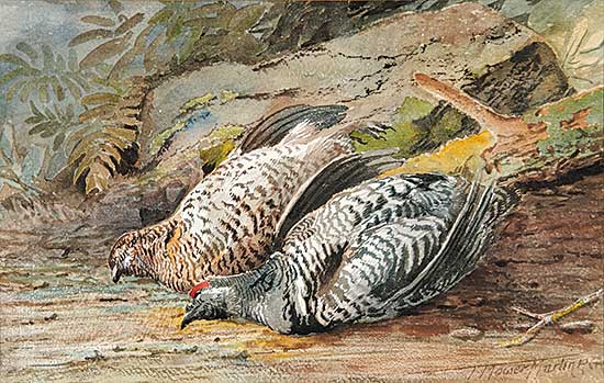 #439 ~ Martin - Untitled - A Brace of Partridge