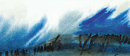 #444 ~ Mitchell - Untitled - Birds Gaffering