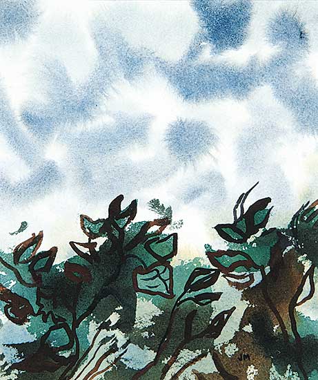 #445 ~ Mitchell - Untitled - Lone Cicada