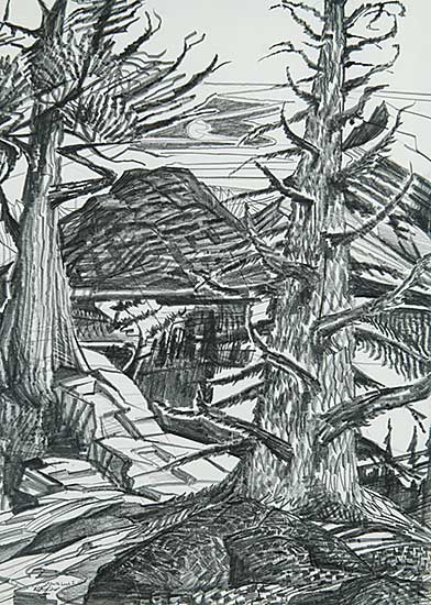 #455.2 ~ Pugh - Alberta Larch I