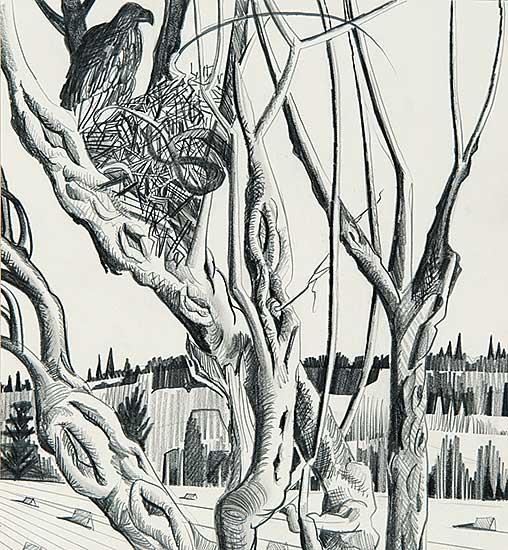 #455.3 ~ Pugh - Red Tailed Hawk