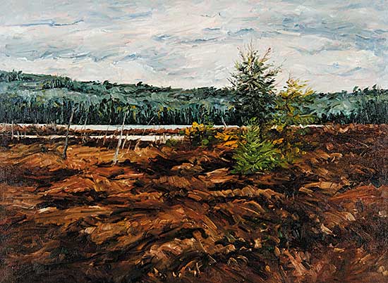 #473 ~ Steinhoff - Tamarack Marsh, Algonquin