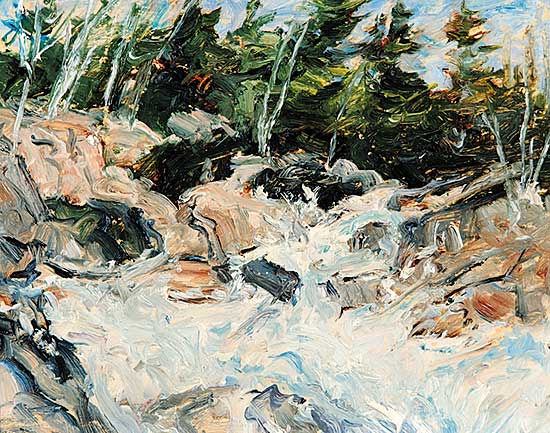 #474 ~ Steinhoff - Rocks and Whitewater