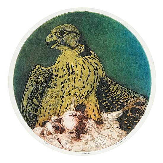 #794 ~ Silverberg - Falcon  #8/50