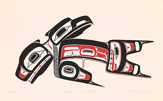 #399 ~ Davidson - Raven-Finned Killer Whale  #50/75