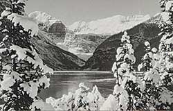 #227 ~ Harmon - Lake Louise in the Winter