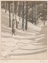 #231 ~ MacKay - The Winter Trail