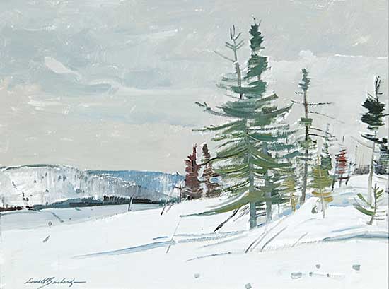 #106 ~ Bouchard - Edge of a Spruce Grove - Near St.Tite Des Caps, P.Q. April 14, 1972