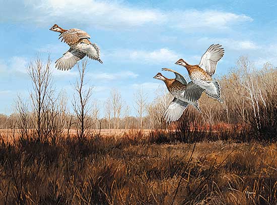 #317 ~ Maass - Sharp Tailed Grouse