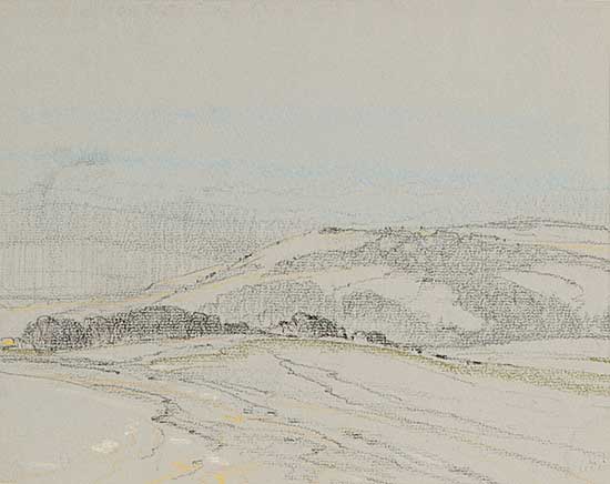 #550 ~ Leighton - Untitled - Priddis Hills
