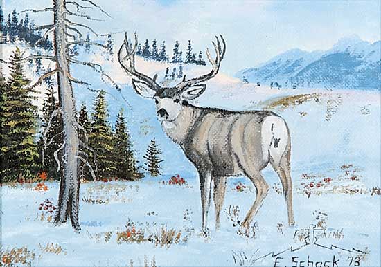 #589 ~ Schock - Deer