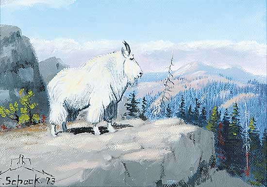 #590 ~ Schock - Mountain Goat