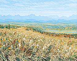 #161 ~ Parker - Grasslands #161 ~ Parker - Grasslands