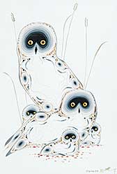 #524.2 ~ Cobiness - Untitled - Hoot of Owls