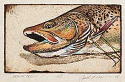 #528 ~ Cowin - Brown Trout  #A.P.